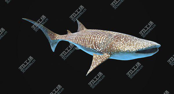 images/goods_img/20210312/Whale Shark Rigged/2.jpg